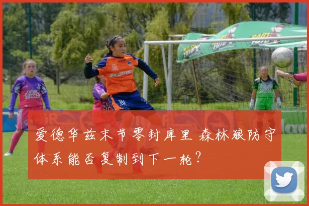 爱德华兹末节零封库里 森林狼防守体系能否复制到下一轮？