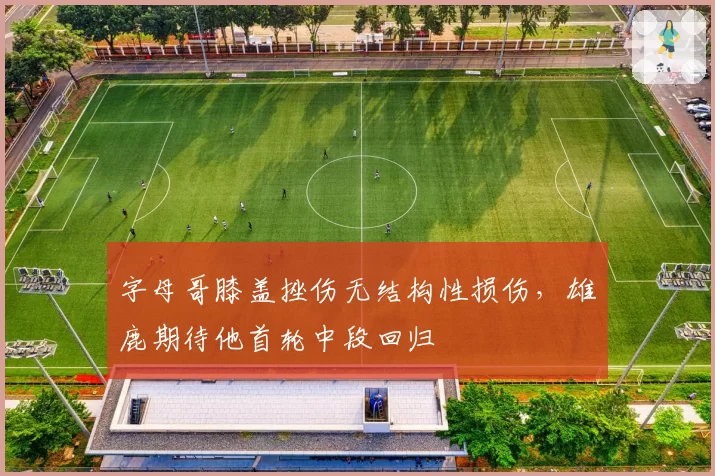 字母哥膝盖挫伤无结构性损伤，雄鹿期待他首轮中段回归