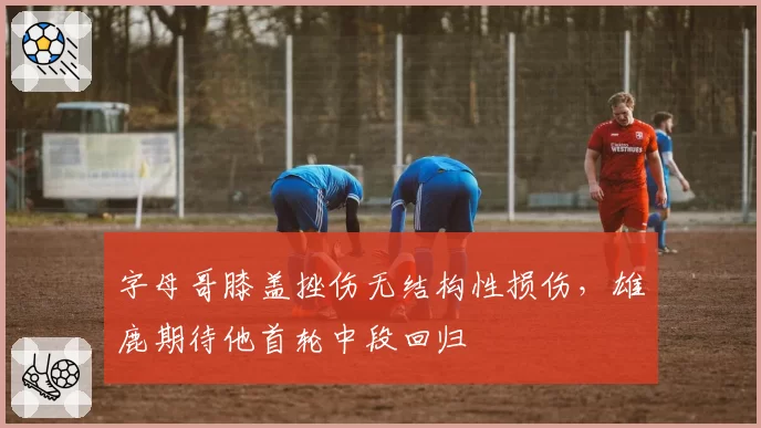 字母哥膝盖挫伤无结构性损伤，雄鹿期待他首轮中段回归